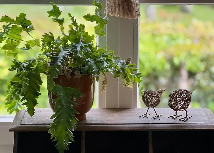 Nyaraló La Du Fleuve Quinsac